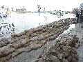 Elbhochwasser