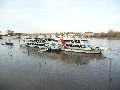 Elbhochwasser