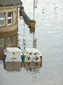 Elbhochwasser