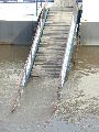 Elbhochwasser