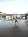 Elbhochwasser