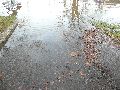 Elbhochwasser