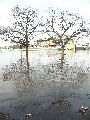 Elbhochwasser