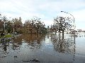 Elbhochwasser