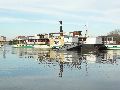 Elbhochwasser