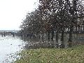 Elbhochwasser