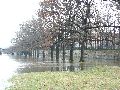Elbhochwasser
