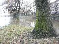 Elbhochwasser