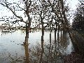 Elbhochwasser