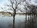 Elbhochwasser