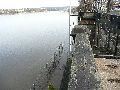Elbhochwasser
