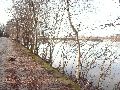 Elbhochwasser