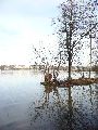 Elbhochwasser