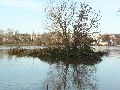 Elbhochwasser