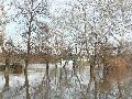 Elbhochwasser