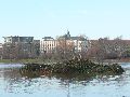 Elbhochwasser