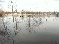 Elbhochwasser