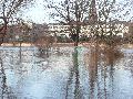 Elbhochwasser