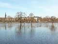 Elbhochwasser