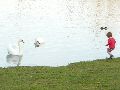 Elbhochwasser
