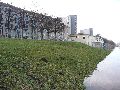 Elbhochwasser