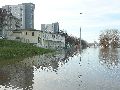 Elbhochwasser