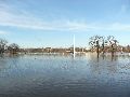 Elbhochwasser