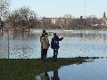 Elbhochwasser