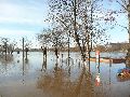 Elbhochwasser