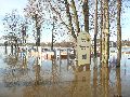 Elbhochwasser