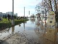 Elbhochwasser