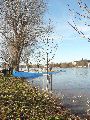 Elbhochwasser