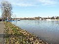 Elbhochwasser