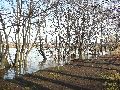Elbhochwasser