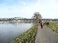 Elbhochwasser