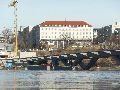 Elbhochwasser