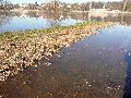 Elbhochwasser