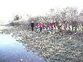 Elbhochwasser