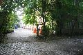 Freiraum Elbtal zwischen Leipziger Str.und Elbe, Quo Vadis, Hafencity ?