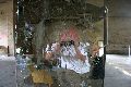Freiraum Elbtal zwischen Leipziger Str.und Elbe, Quo Vadis, Hafencity ?