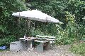 Freiraum Elbtal zwischen Leipziger Str.und Elbe, Quo Vadis, Hafencity ?