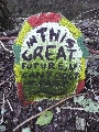 Florales zu finden- Freiraum Elbtal, Blühen und Verblühen