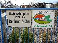Spaziergang über die Marienbrücke-Friedrichstadt, Teil 1