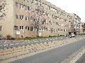 Spaziergang über die Marienbrücke-Friedrichstadt, Teil 1
