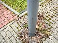 Spaziergang über die Marienbrücke-Friedrichstadt, Teil 1