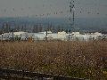 Spaziergang von Pennrich Gompitz-Gorbitz nach Löbtau, längs der Straßenbahnlinie-3