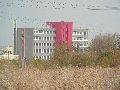 Spaziergang von Pennrich Gompitz-Gorbitz nach Löbtau, längs der Straßenbahnlinie-3