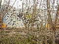 Spaziergang von Pennrich Gompitz-Gorbitz nach Löbtau, längs der Straßenbahnlinie-3