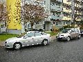 Spaziergang von Pennrich Gompitz-Gorbitz nach Löbtau, längs der Straßenbahnlinie-3