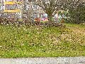 Spaziergang von Pennrich Gompitz-Gorbitz nach Löbtau, längs der Straßenbahnlinie-3